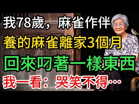 我78歲，麻雀作伴，牠離家3個月，回來叼著一樣東西，我一看：哭笑不得…