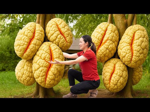 Bumper Wild Grapefruit Harvest in the Village | Nature’s Juicy Treasure Bursting from the Vines