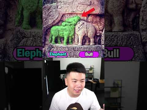 What Do You See First?