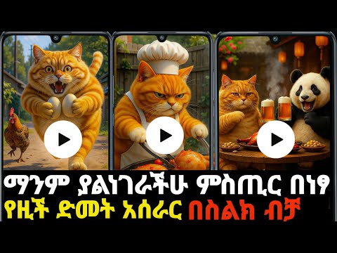 🤑 ሀብታም የሚያደርግችሁ ስራ አልሰማንም እንዳትሉ viral orange cat tutorial  in Amharic Ethiopia