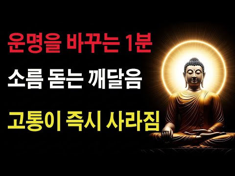 진공묘유"가 도대체 뭐길래? 허운 대사가 물 한 그릇으로 증명한 놀라운 진실
