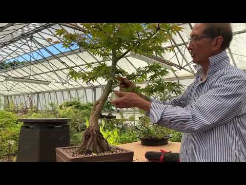 Join the Airlayering Workshop at Herons