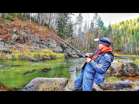 HANDS HURT! TONS OF FISH IN THE Stream ARE PICKING UNDER THE FEET! REALLY LUGS ARE ALIVE!