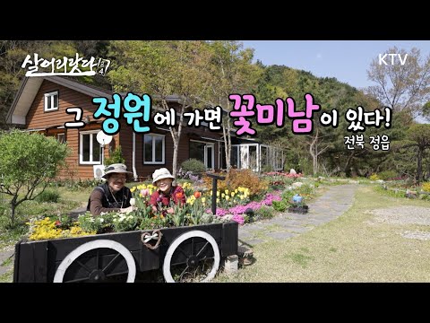 (전북 정읍) 그 정원에 가면 꽃미남이 산다! ktv, koreatv, flower, tulip, plante, garden, gardener (시즌4)