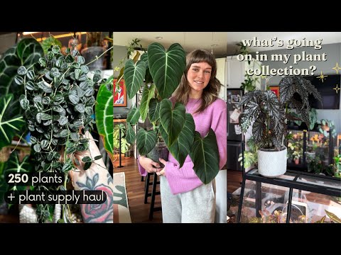 🪴 i have too many plants, updates for may,  + houseplant essentials unboxing!