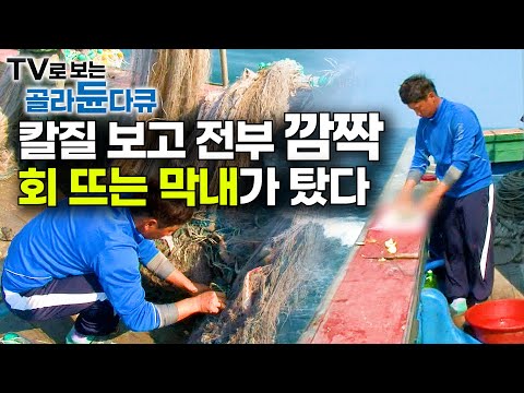 형님들 일할 때 혼자 그물에서 횟감 찾더니 회 썰러 들어가는 막내 등장에 선장님 반응┃만선 대하잡이 선상만찬┃극한직업┃#골라듄다큐
