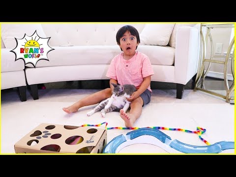 Ryan testing Cat toys on Our Cats!!!
