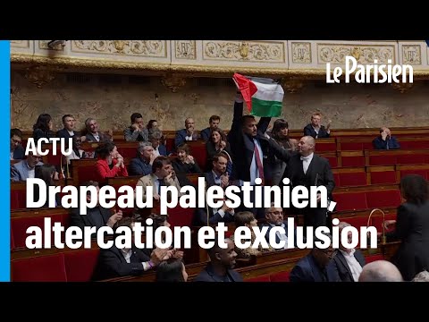 Suspension de séance, insultes... comment le conflit israélo-palestinien a électrisé l'Assemblée
