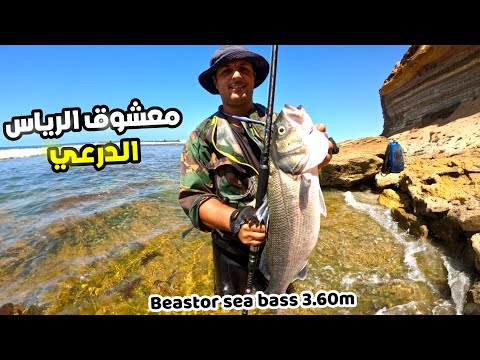 فراجة جميلة بتقنية الصيد #spinning🔥واستقبال أصدقاء من مختلف مدن المغرب🇲🇦