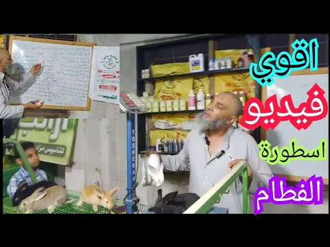 مدرسة الشيخ سامر لتعلم تربية الارانب بكل سهوله الحلقه ٩ الفطام
