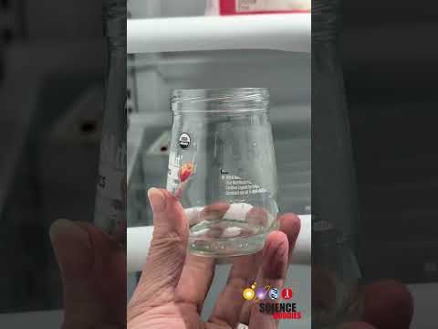 Can Life Survive on a Tidally-Locked Planet? | Science Project