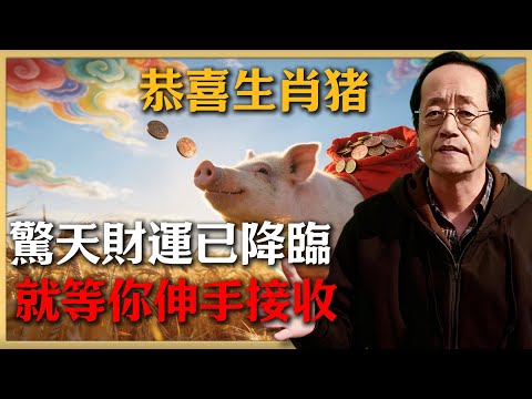 恭喜生肖豬！天降驚天動地的大喜訊！這筆橫財專門為你準備，不拿可惜！#倪海廈 #命理 #生肖 #運勢