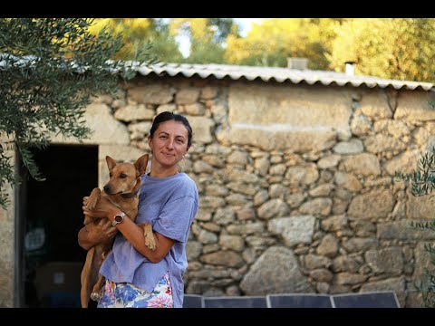A calm life on our 1.5 acre farm