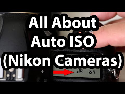 All About Auto ISO (Nikon Cameras)