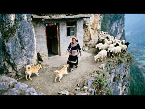 深山探访大山里的独户人家,养了三条头很多羊子,58岁阿姨感叹以前生活艰难!【乡村阿泰】