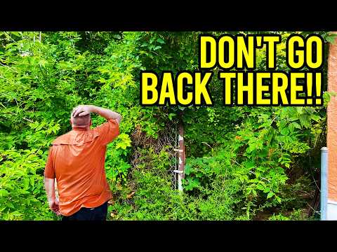 Neighbors Warned Us About This House, We Didn’t Believe Them