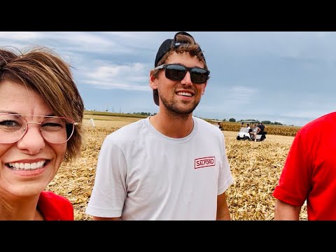 A Cornfield in a Heat Wave?