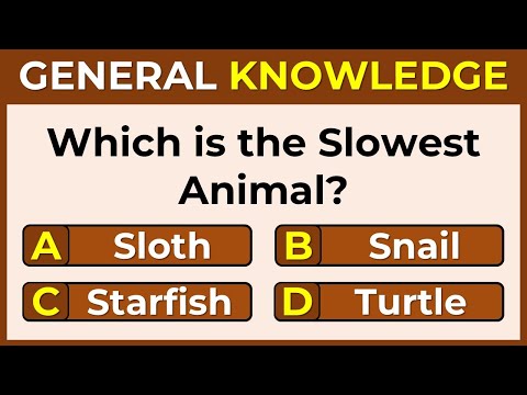 Think You Can Outsmart This Quiz? Only Geniuses Get a Perfect Score