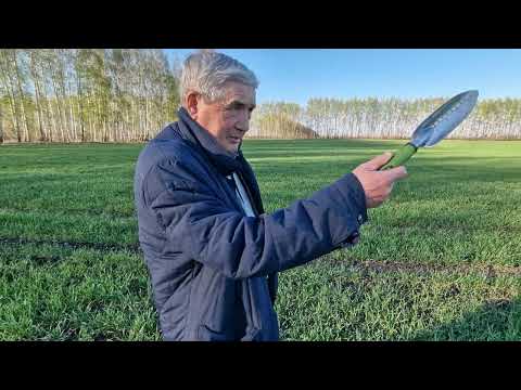 Рассуждение о технологии сева озимой пшеницы. Внесение удобрений, боронование (ротационной бороной).