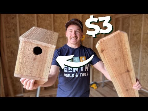 $3 DIY Birdhouse! - Simple, Easy & Affordable