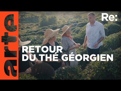 Géorgie : le thé de la liberté ? | ARTE Regards