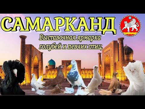 #Голуби  Первая Выставочная ярмарка голубей и певчих птиц. После развала СССР. Узбекистан  Самарканд