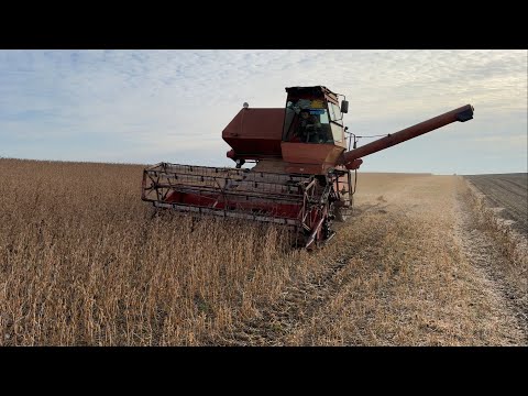 Soybean harvest❌The reel is winding😬Breakdown in the field🥲Repair in the field👍22.09.2025