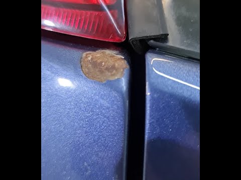 Локальная покраска заднего крыла на автомобиле Ford Focus.