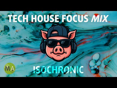 Peak Focus for Complex Tasks Productivity Booster - Tech House Pig Mix