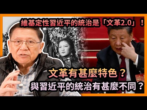 (中字) 維基定性習近平的統治是「文革2.0」！文革是否回來了？文革有甚麼特色？與習近平的統治有甚麼不同？〈蕭若元：理論蕭析〉2023-05-27
