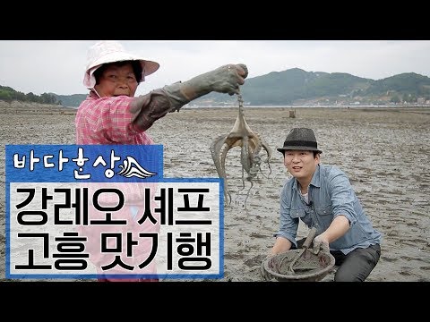 한국의 고든램지, 강레오셰프와 떠나는 고흥 맛기행 ENG SUB [바다한상 Cooking Road Trip Documentary]