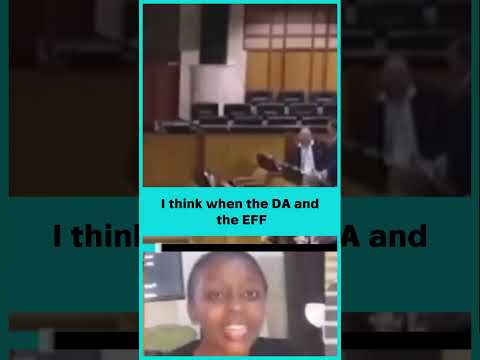 The day the DA and EFF had an exchange in parliament