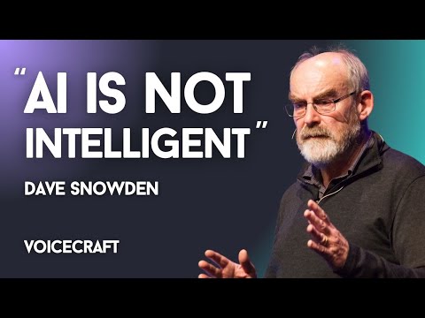 Artificial Intelligence & Human Reasoning | Metacrisis vs Polycrisis | Dave Snowden & Tim Adalin