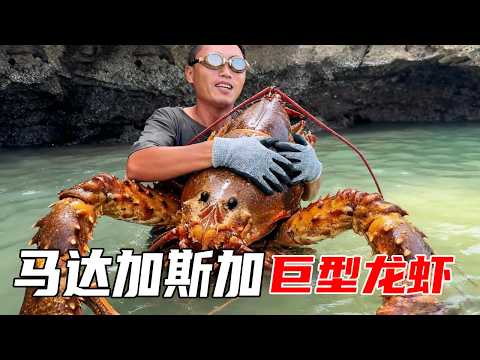 非洲（马达加斯加）荒岛生存（上）：平头哥利用木头DIY鱼叉，前往更深海域收获颇丰，美女队友赞不绝口【户外平头哥】