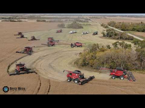 10 x Case IH Mähdrescher & 2x Case 600 Quadtrac - ErnteXXL in Kanada mit der REDArmy XXL Soundvideo1