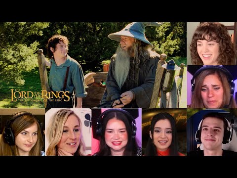 Top Reactions Gandalf Arrives in the Shire |The Lord of the Rings: The Fellowship of the Ring (2001)