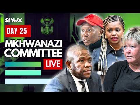 Parliament prepares for Cat Matlala testimony