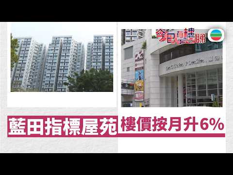 TVB今日有樓睇｜2026年02月09日｜藍田指標屋苑　樓價按月升6%｜樓市｜樓盤