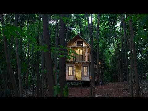 Berkemah dan Membuat kabin kayu 2 tingkat di tengah hutan - Dari awal sampai selesai dan tidur aman