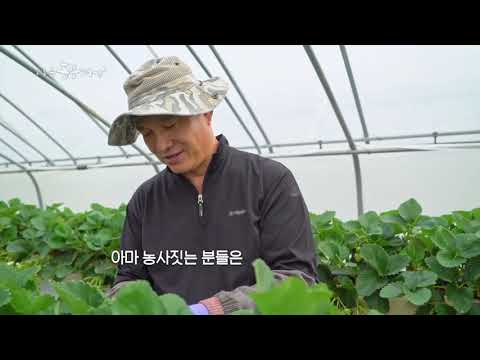 나는 농부다 19회 - 내 남편은 딸기 바보
