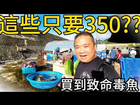 宜蘭光榮定置漁場丨海雞腿身懷劇毒的人間美味丨老闆說這些350元就好