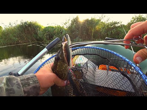 ЩУКИ ТОЧНО НЕ ПРОПУСТЯТ ЭТУ ПРИМАНКУ. Зрелищные поклёвки на поппер. Рыбалка на спиннинг