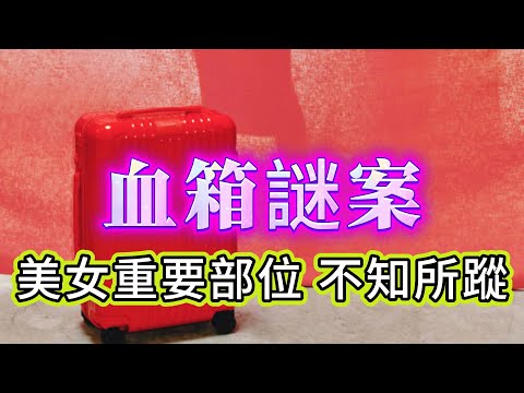 【真實案件】| 血箱謎案！美女重要部位，不知所蹤！#犯罪#案件 #案件解說 #真實故事 #criminal #刑事案件