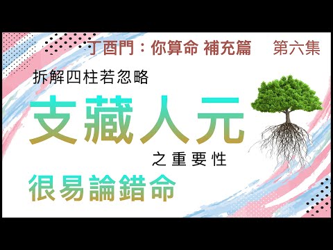 補充篇 #6【拆解四柱若忽略支藏人元之重要性，很易論錯命。】
