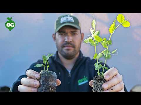 We Tested 8 Seed Starting Mixes, Here's What We Learned