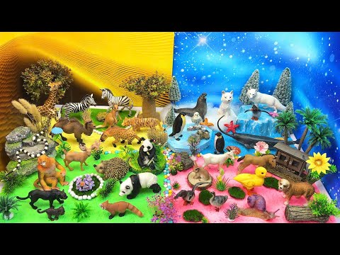 Discover Diverse Animal World | Explore 4 Lands: Arctic, Savanna, Jungle & Farm 🐻‍❄️🦒🐼🏡