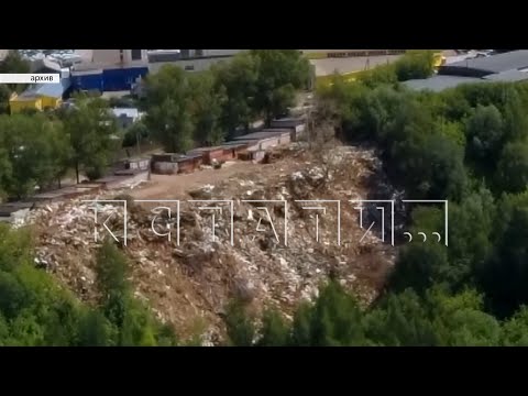 Illegal garbage collectors who caused 3 billion rubles in environmental damage will not face any ...