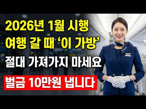 2026년 공항, "이 가방" 들고 가면 100% 뺏깁니다 (5060 어르신 긴급 경고)