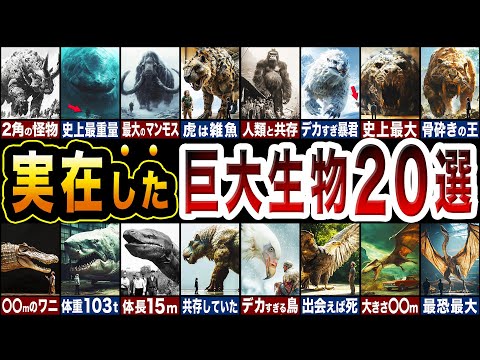 【第２弾】実在した巨大生物たち20選を一挙大公開！古代の巨大生物20選!!【総集編】【ゆっくり解説】