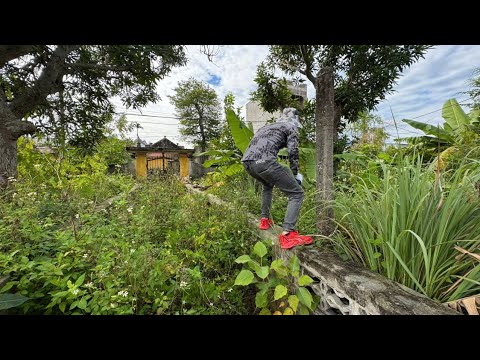 The garden was overgrown with weeds and clean up to find the mystery.